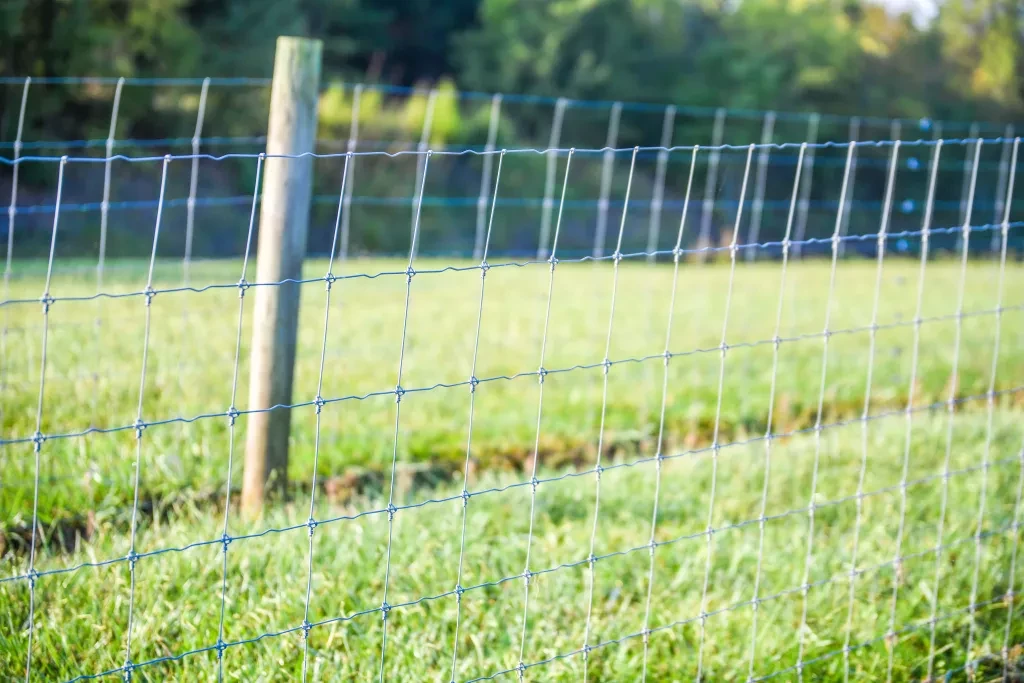 Products Elgin Feed & Garden