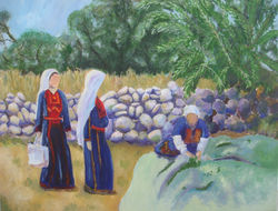 Picking Olives