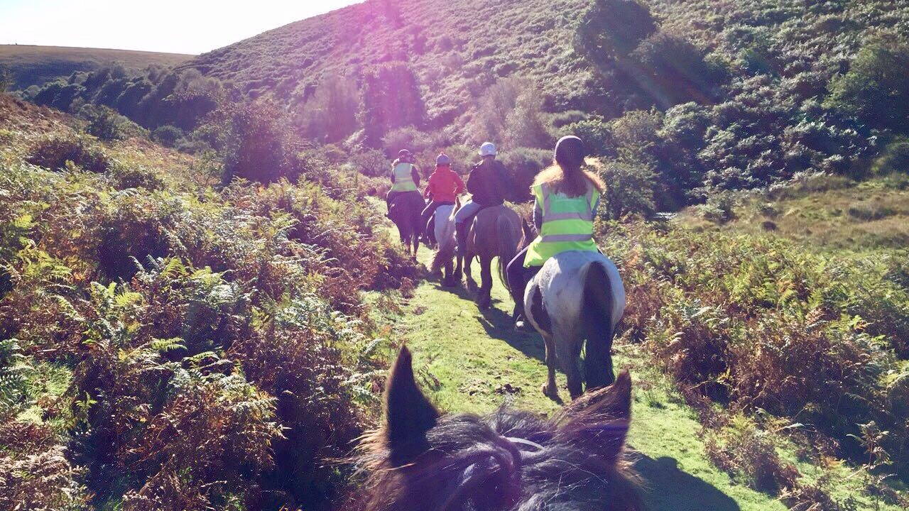 Brendon Manor Horse Riding Escorted Horse Trekking on Exmoor, Devon