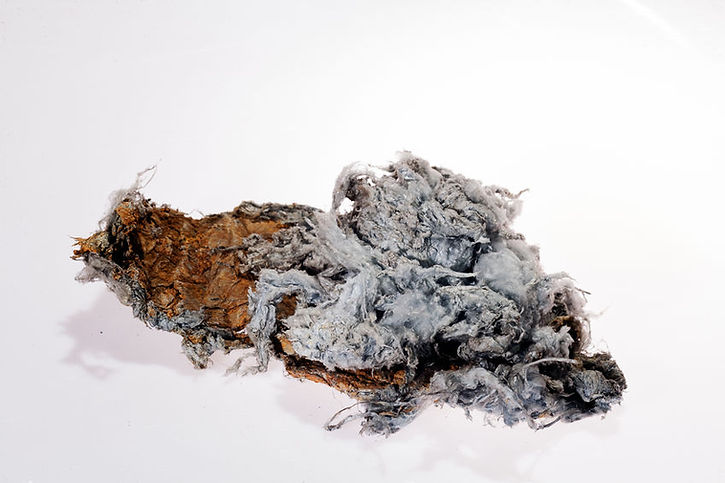 Asbestos Fibres