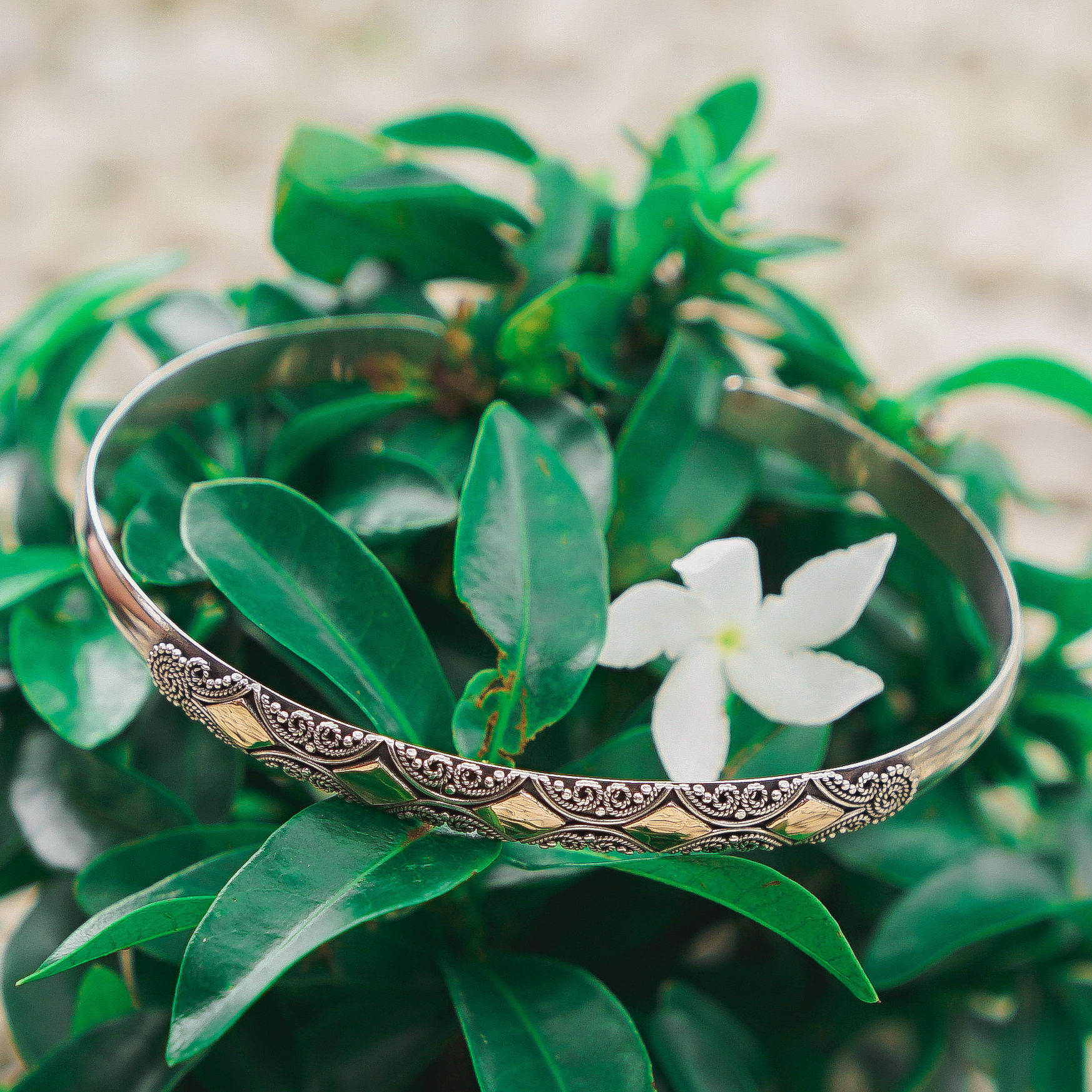 Spirit of Energy Bracelet 1