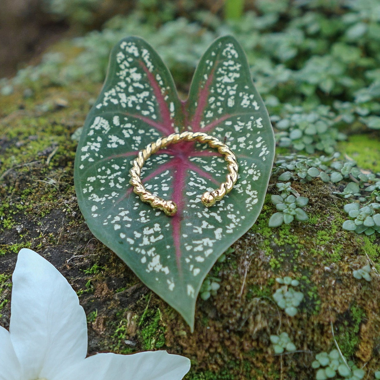 Ring Elegance Spirale