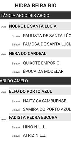 Arv Hidra.jpeg