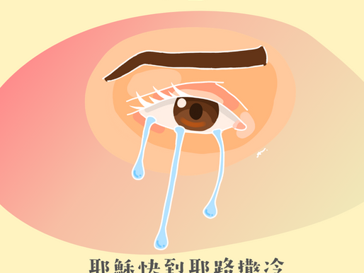 #43 晶瑩洗滌