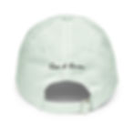 Thumbnail: Dan logo baseball hat