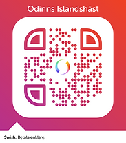 odinn swish qr.png