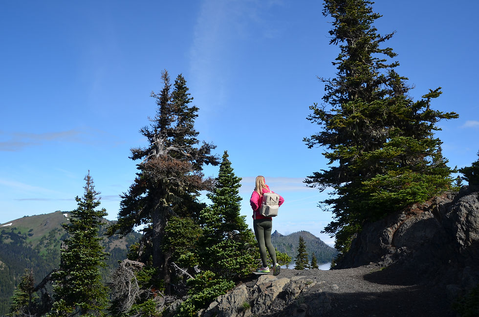 5 ETFs in meinem Depot und warum ich diese ausgewählt habe