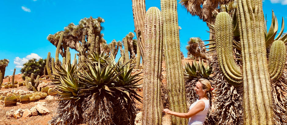 5 Dinge, die ich durchs Investieren über Geld gelernt habe. Manche Lektionen pieksen, aber sie bringen dich weiter.