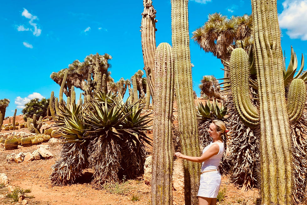 5 Dinge, die ich durchs Investieren über Geld gelernt habe. Manche Lektionen pieksen, aber sie bringen dich weiter.