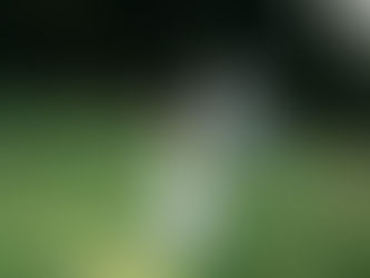 Ich habe mein Brautkleid in einen ETF investiert. Findet ihr diese Idee nicht romantisch?