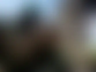 Is peace between Israel and Palestine possible?