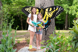 butterfly release-37