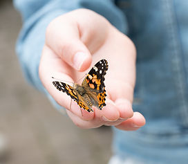 Butterfly Release-130 (1).jpg