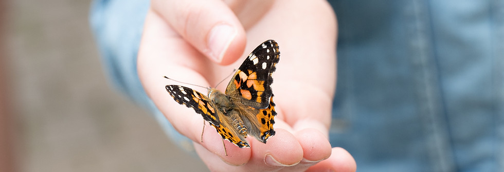 Butterfly Release-130.jpg