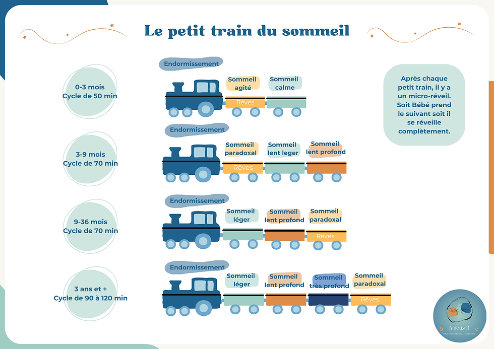 train du sommeil bébé, cycle de sommeil bébé
