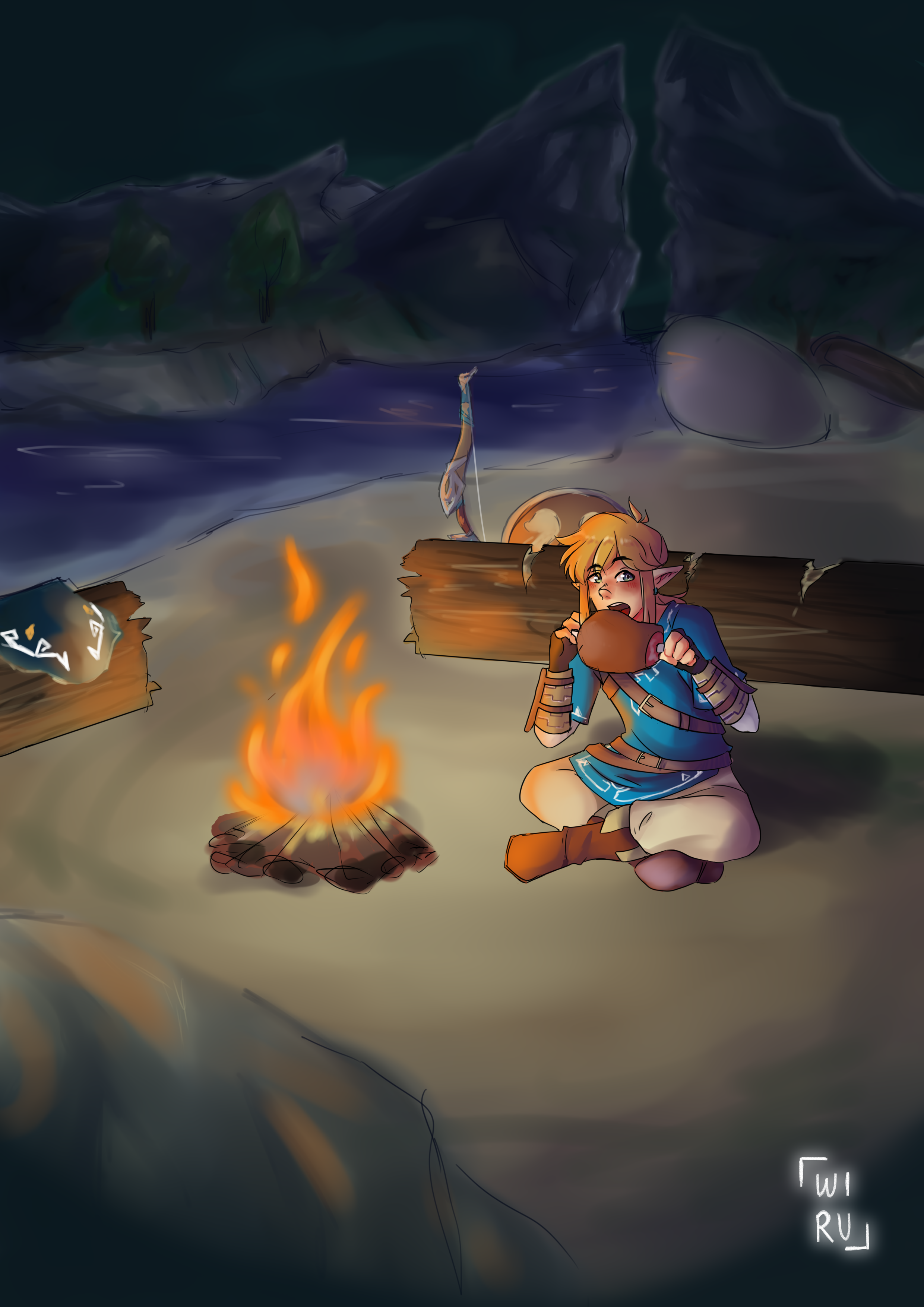 Link, TLoZ: BoTW.
