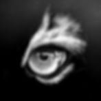 scratchboard fur tutorial