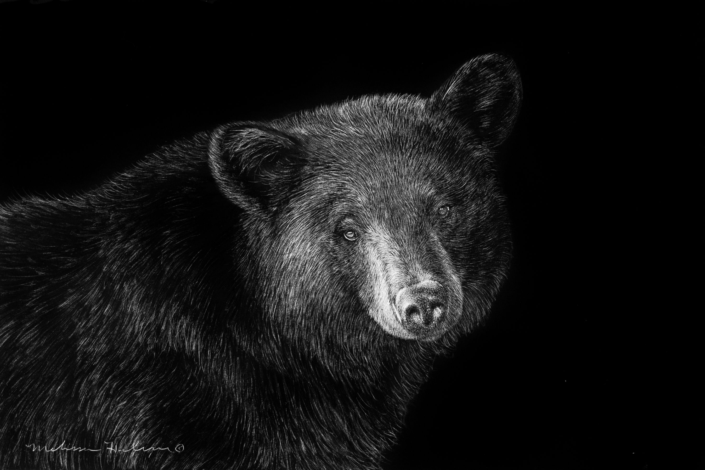 Black Bear | Original | 4"x6"
