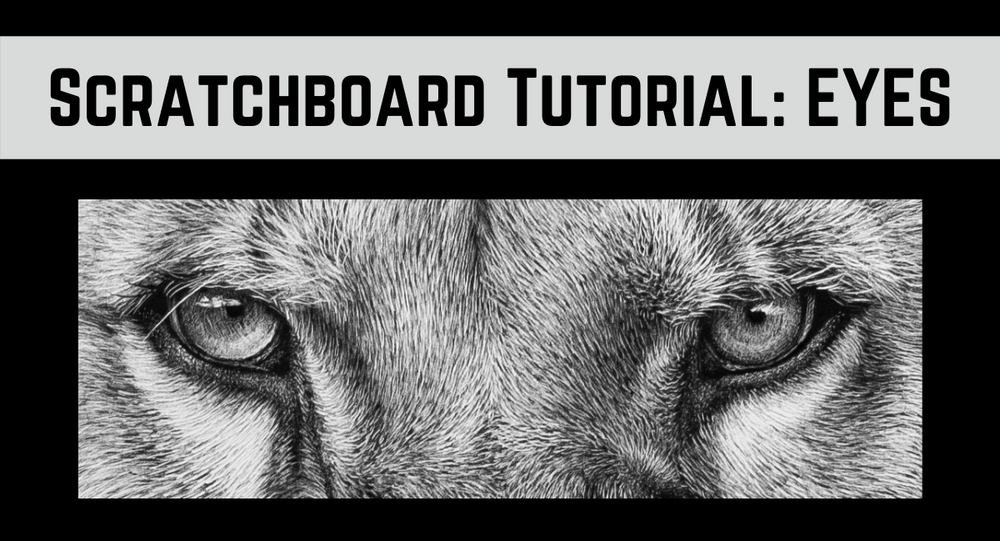Scratchboard Tutorial Eyes Blog Post Melissa Helene Fine Arts