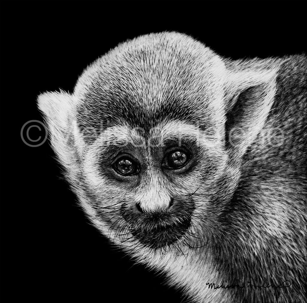 Squirrel Monkey | Original | 5"x5"