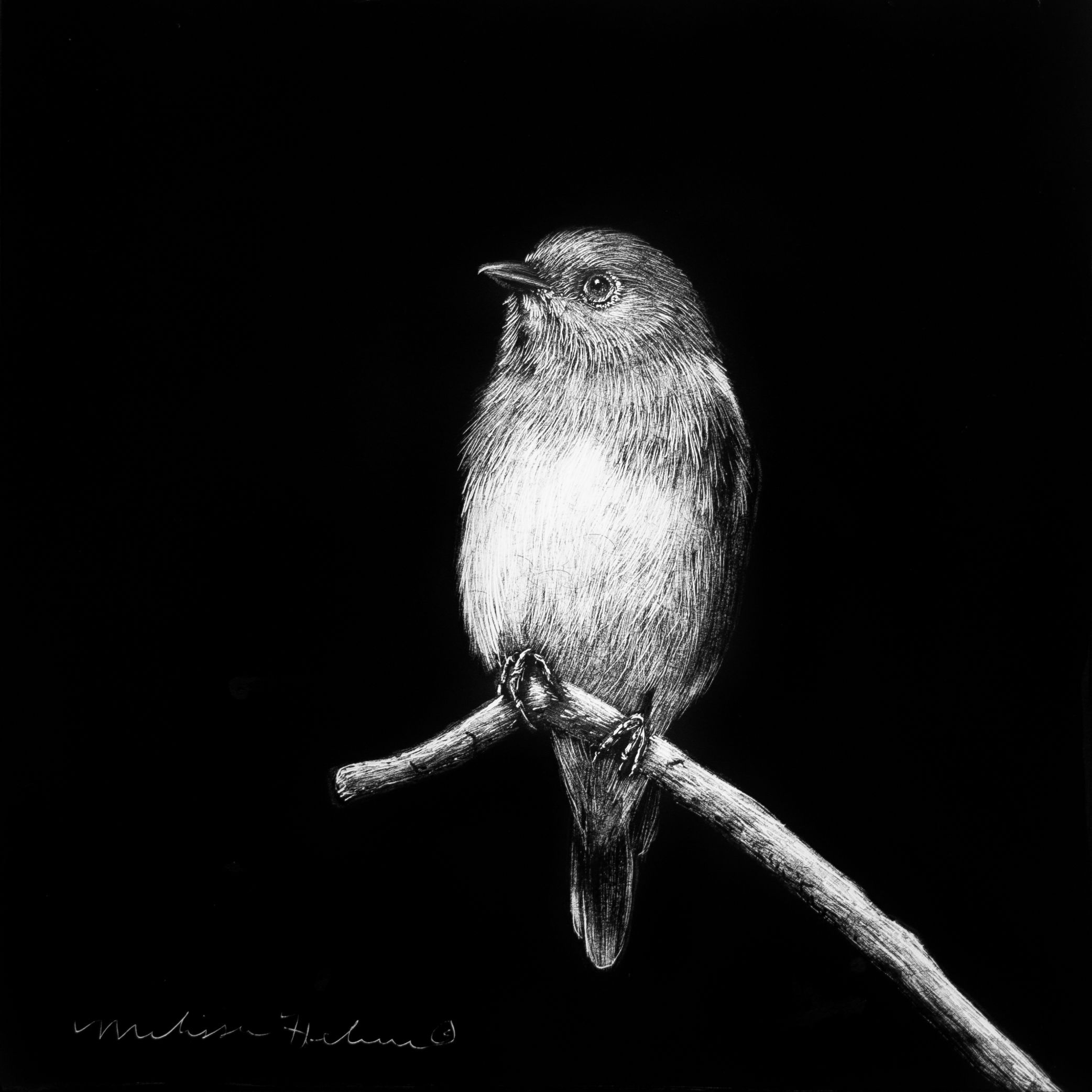 Eastern Bluebird | Original | 4"x4"