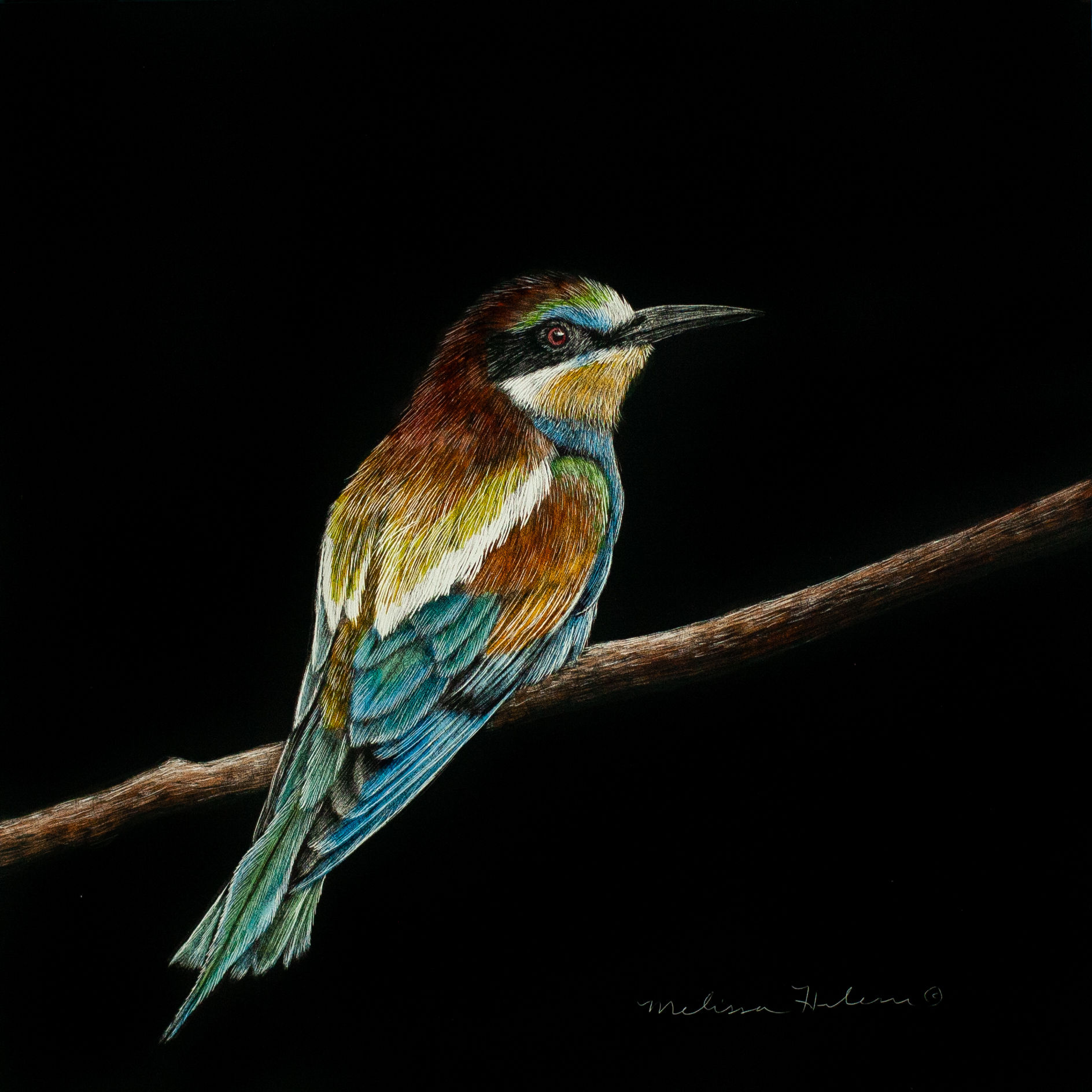 European Bee-Eater | Original | 5x5