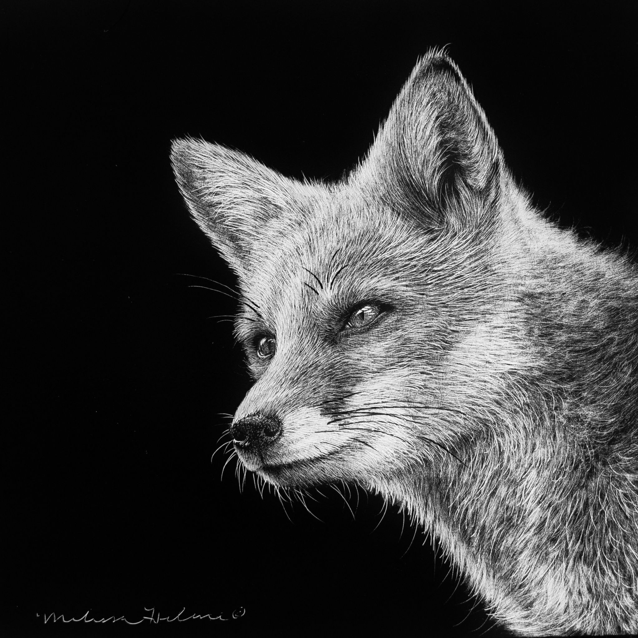 Pre-Order | Red Fox | 3" vinyl sticker