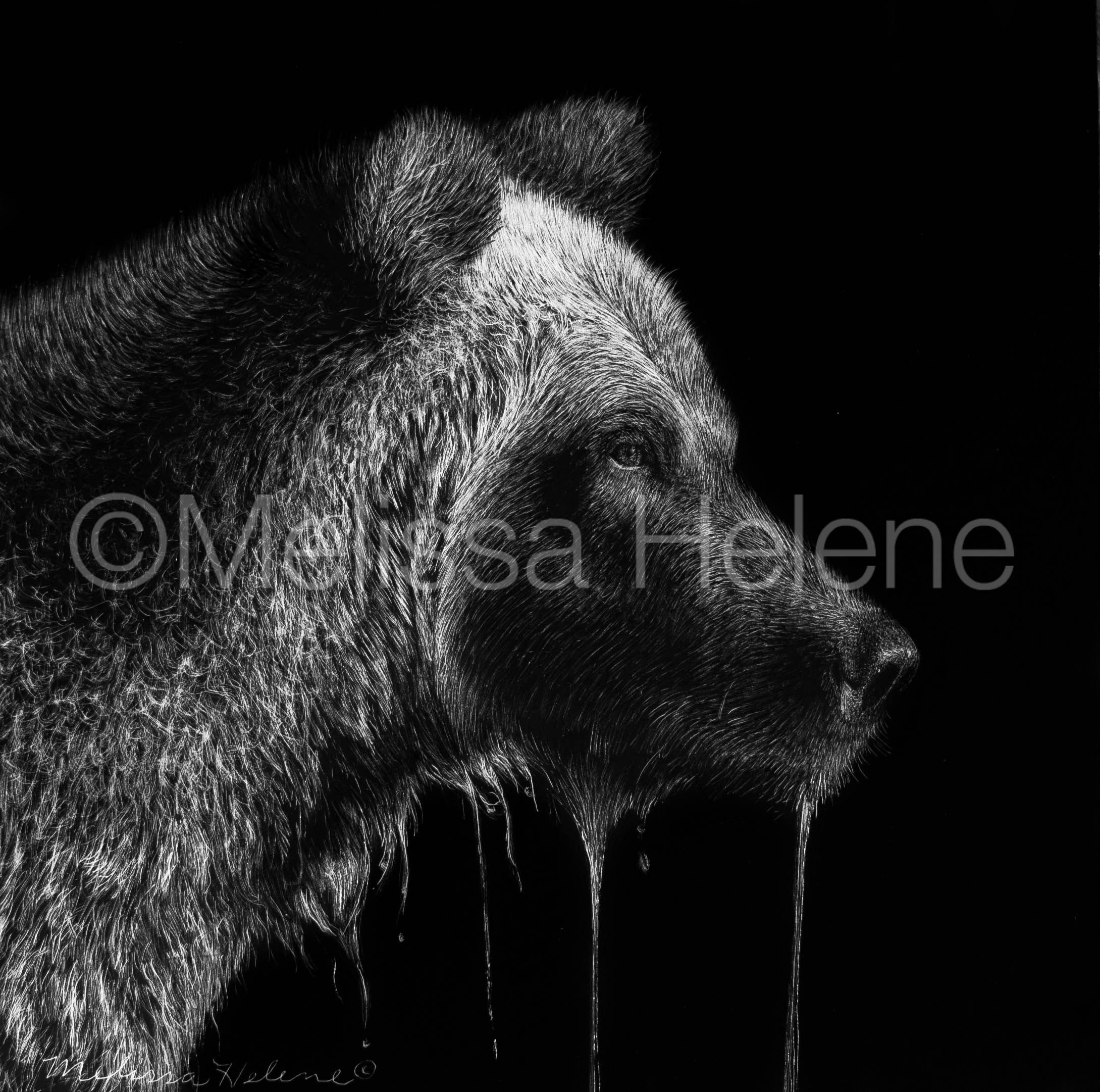 Grizzly Bear 03 | Reproduction