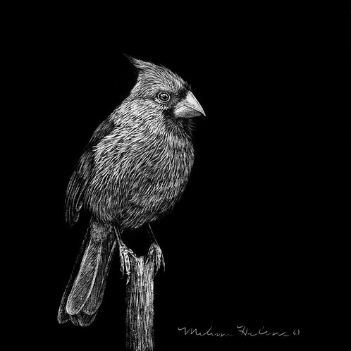 Northern Cardinal | Original | 4"x4"