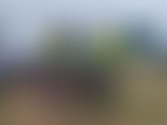 A l’assaut de la Néodomienne Cyclo