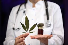 Medical Marijuanas Doctors Online