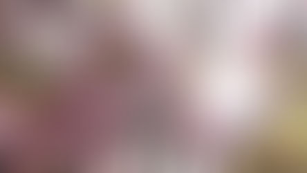 【2026年度 年度初めご挨拶】記事にひたすら真っ直ぐに。