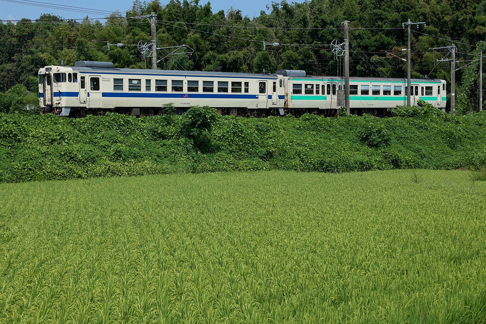 今回貸切列車に使用した車両(主催者提供)