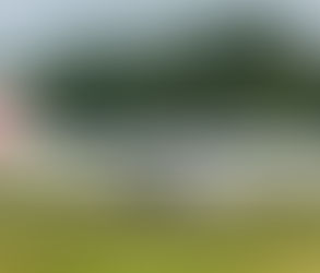 鹿児島〜奄美線、ダイヤ変更で「空中追い抜き」が発生 機種の違いが生む逆転現象