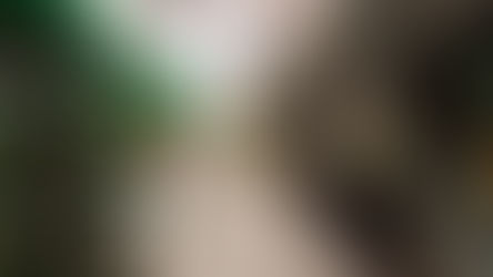 ［鹿児島市役所の近く］転入時期で忙しい時、ちょっとゆったりしたい！そんな時に隠れたレトロ路地を歩いてみませんか？