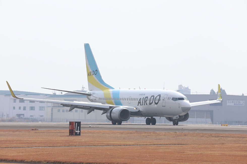鹿児島空港に着陸するAIR DOの飛行機