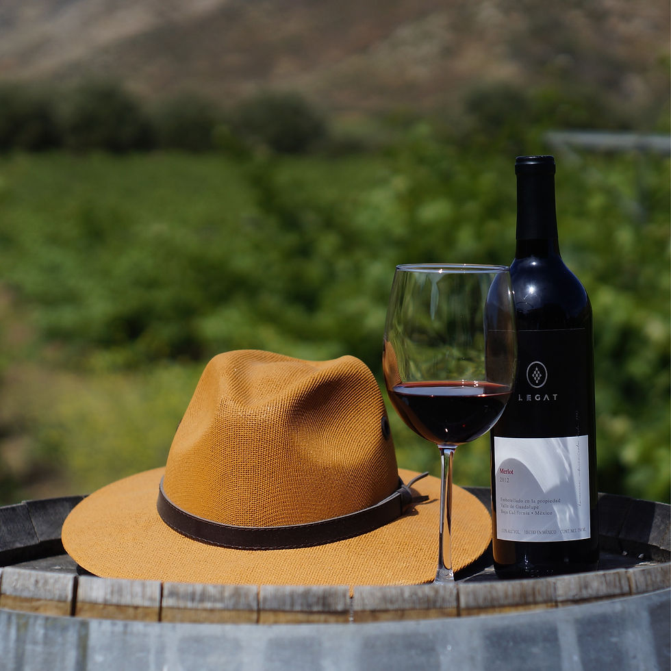 Thumbnail: Valle de Guadalupe Tour
