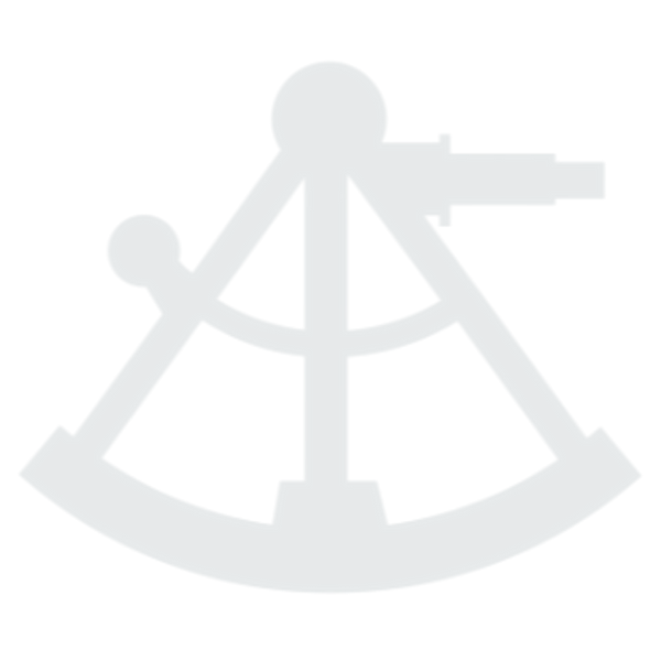 NSM Buy A Business Graphics (1).png