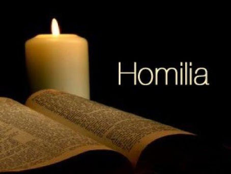 HOMILIA 29 de octubre