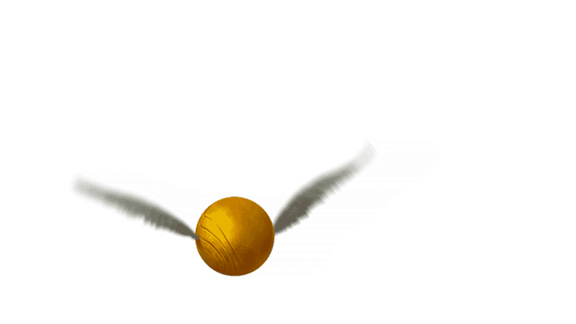 GoldenSnitch_PM.gif