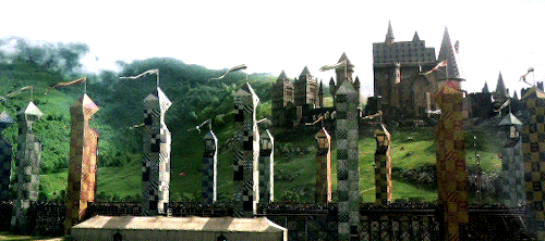 quidditch pitch.gif