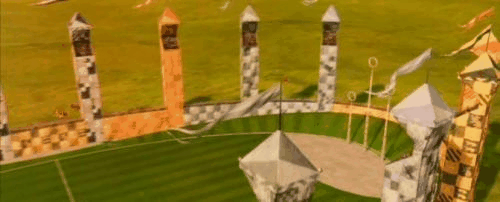quidditch.gif