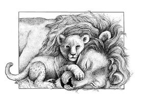 webs Lions-cub pen and ink.jpg