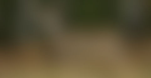 Yesterday was my Mother’s Birthday