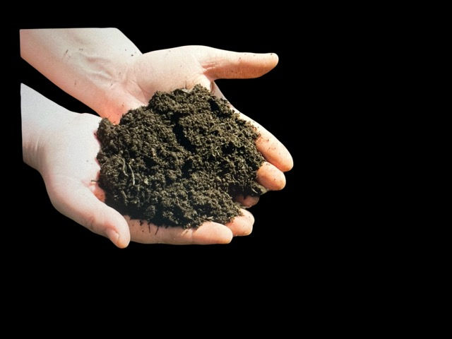 A handful of black, fertile soil.