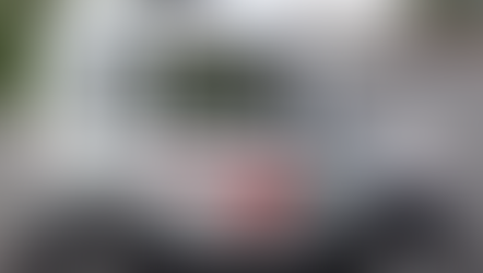 The ZEV 511: The Electric Ride-In Vehicle for Wheelchair Users