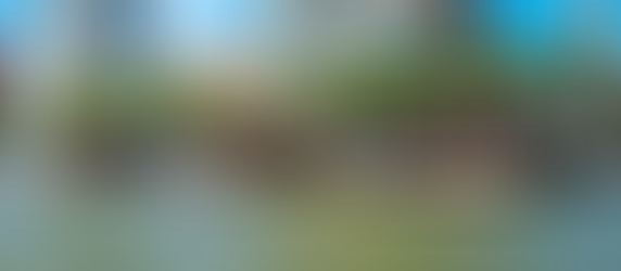 Introducing Wikkleboats- More than Just Tiny Floating Homes