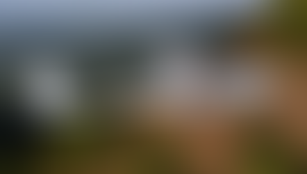 A side-view of a flying Pipistrel Velis Electro airplane with a green scenery in the background