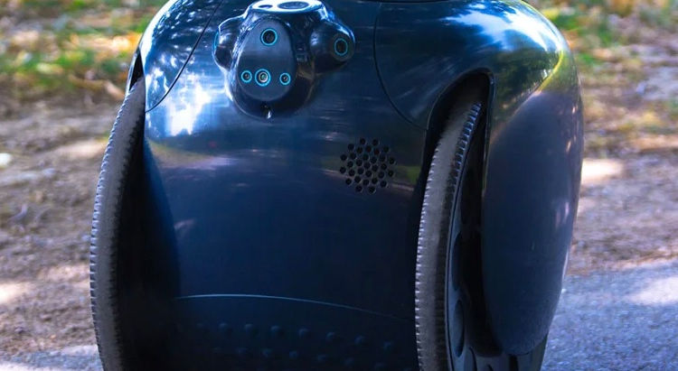 Everyone Needs a Robotic Concierge!