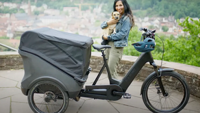 Is the Trike Family Hybrid 1500 the Ultimate Electric Bike for Families?